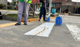 TRABAJOS DE SEALIZACIN VIAL Y EMBELLECIMIENTO EN LA AVENIDA 3